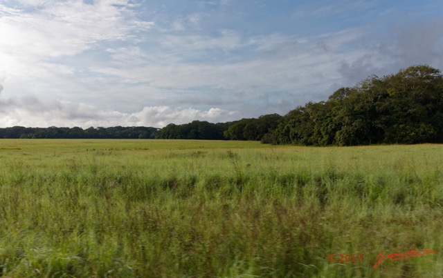 009 LOANGO 3 la Riviere REMBO NGOVE Piste et Savane vers Loango 16E5K3IMG_122034_DxOawtmk.jpg