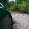 012 LOANGO 3 la Riviere REMBO NGOVE Piste et Foret vers Loango 16E5K3IMG_122038_DxOawtmk.jpg