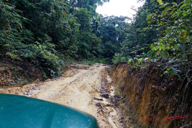 013 LOANGO 3 la Riviere REMBO NGOVE Piste et Foret vers Loango 16E5K3IMG_122039_DxOwtmk.jpg