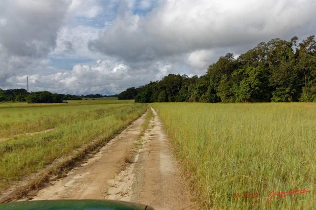 014 LOANGO 3 la Riviere REMBO NGOVE Piste et Savane vers Loango 16E5K3IMG_122040_DxOawtmk.jpg