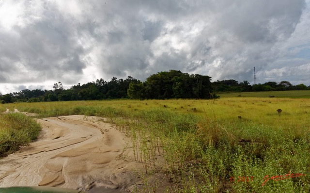 015 LOANGO 3 la Riviere REMBO NGOVE Piste et Savane vers Loango 16E5K3IMG_122041_DxOawtmk.jpg