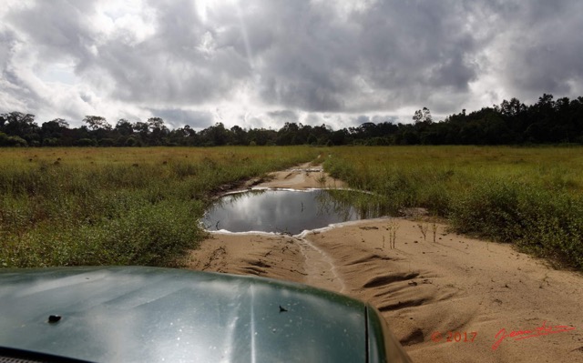 016 LOANGO 3 la Riviere REMBO NGOVE Piste et Savane vers Loango 16E5K3IMG_122042_DxOwtmk.jpg