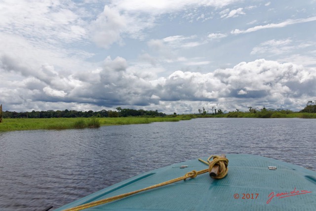 047 LOANGO 3 la Riviere REMBO NGOVE Berge et Marecage 16E5K3IMG_122093_DxOawtmk.jpg
