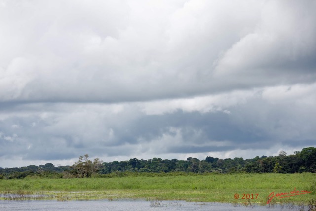 053 LOANGO 3 la Riviere REMBO NGOVE Berge et Marecage 16E5K3IMG_122101_DxOawtmk.jpg