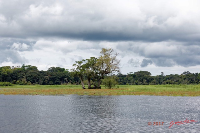 056 LOANGO 3 la Riviere REMBO NGOVE Berge Marecage et Arbres 16E5K3IMG_122104_DxOawtmk.jpg