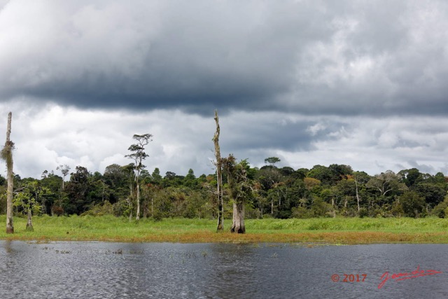 060 LOANGO 3 la Riviere REMBO NGOVE Berge Marecage et Arbres 16E5K3IMG_122108_DxOawtmk.jpg