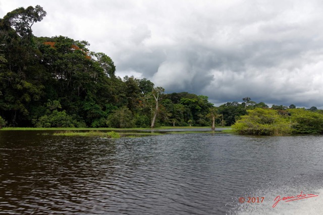 062 LOANGO 3 la Riviere REMBO NGOVE Berge Marecage et Arbres 16E5K3IMG_122113_DxOawtmk.jpg