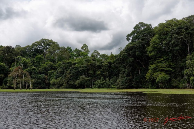 063 LOANGO 3 la Riviere REMBO NGOVE Berge Marecage et Arbres 16E5K3IMG_122114_DxOawtmk.jpg