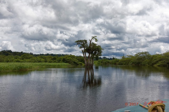 070 LOANGO 3 la Riviere REMBO NGOVE Berge Marecage et Arbres 16E5K3IMG_122122_DxOawtmk.jpg