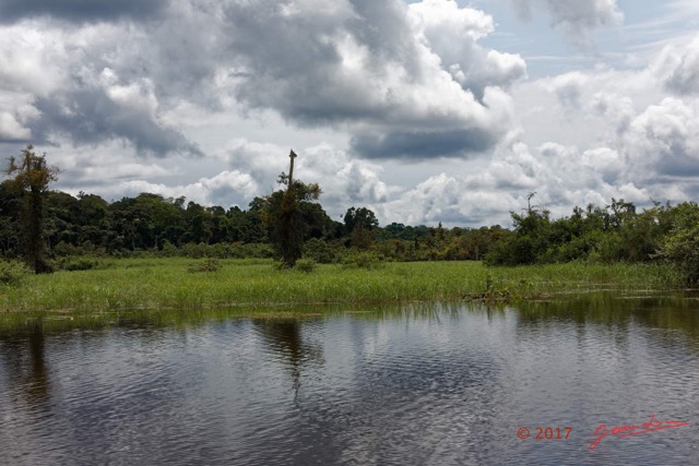 072 LOANGO 3 la Riviere REMBO NGOVE Berge Marecage et Arbres 16E5K3IMG_122124_DxOwtmk.jpg