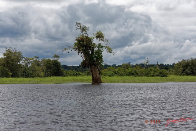 074 LOANGO 3 la Riviere REMBO NGOVE Berge Marecage et Arbres 16E5K3IMG_122126_DxOawtmk.jpg