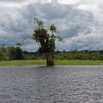 074 LOANGO 3 la Riviere REMBO NGOVE Berge Marecage et Arbres 16E5K3IMG_122126_DxOawtmk.jpg