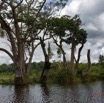 075 LOANGO 3 la Riviere REMBO NGOVE Berge Marecage et Arbres 16E5K3IMG_122128_DxOawtmk.jpg