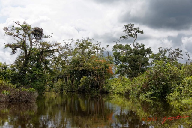 077 LOANGO 3 la Riviere REMBO NGOVE Berge et Arbres 16E5K3IMG_122133_DxOawtmk.jpg