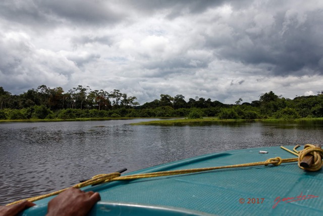 083 LOANGO 3 la Riviere REMBO NGOVE Berge Marecage et Arbres 16E5K3IMG_122139_DxOwtmk.jpg