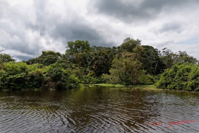 085 LOANGO 3 la Riviere REMBO NGOVE Berge Marecage et Arbres 16E5K3IMG_122141_DxOawtmk.jpg