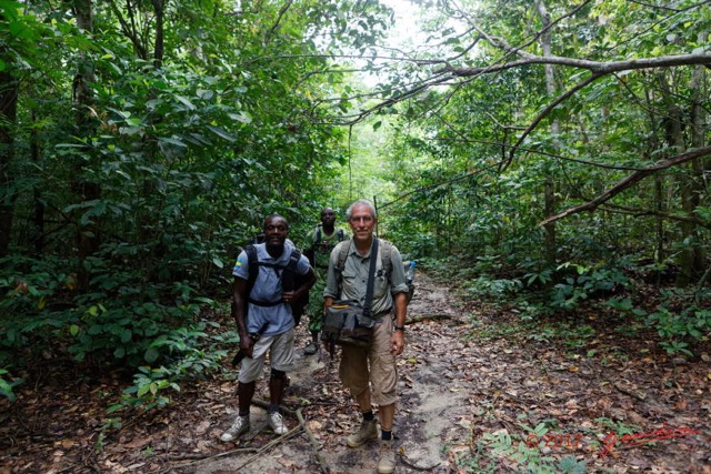 022 LOANGO 3 Inyoungou Sounga Marche en Foret Arret Boisson Eco Guide Eco Garde et JLA 16E5K3IMG_122191_DxOwtmk.jpg