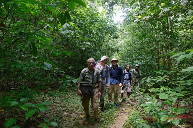 063 LOANGO 3 Inyoungou Sounga Marche en Foret Groupe sur le Sentier 16E5K3IMG_122256_DxOwtmk.jpg
