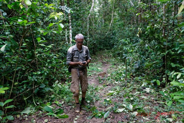 065 LOANGO 3 Inyoungou Sounga Marche en Foret Releve Trace GPS par JLA 16E5K3IMG_122262_DxOawtmk.jpg