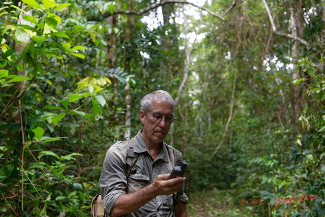 066 LOANGO 3 Inyoungou Sounga Marche en Foret Releve Trace GPS par JLA 16E5K3IMG_122264_DxOawtmk.jpg