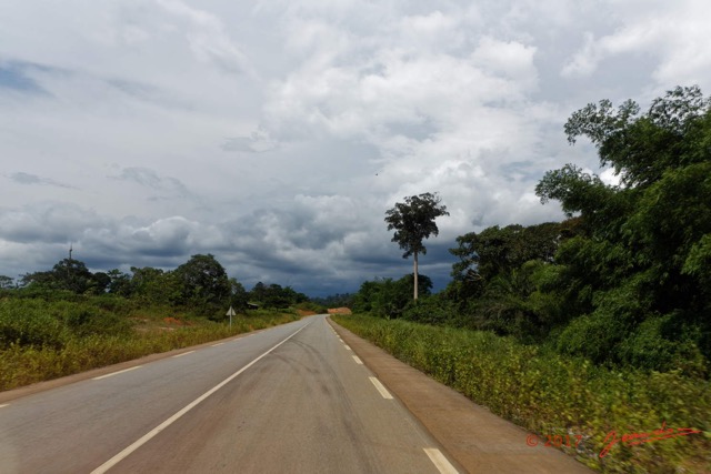 073 LOANGO 3 Trajet Retour Gamba-Tchibanga la Route RN6 16E5K3IMG_122935_DxOawtmk.jpg