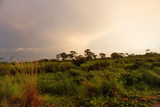 085 LOANGO 3 Trajet Retour Tchibanga-Lambarene 16E5K3IMG_122957_DxOawtmk.jpg