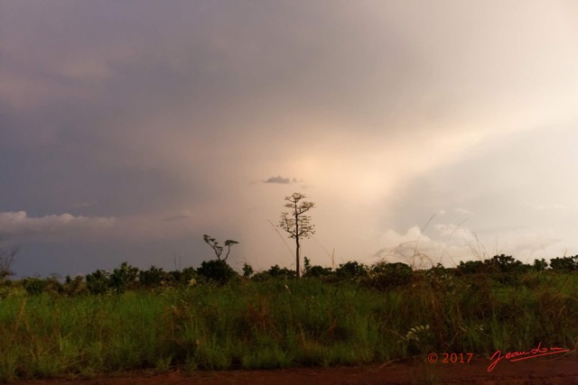 086 LOANGO 3 Trajet Retour Tchibanga-Lambarene 16E5K3IMG_122958_DxOawtmk.jpg