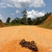 106 LOANGO 3 Trajet Retour La Lope Piste et Feces Elephant 16E5K3IMG_123000_DxOawtmk.jpg