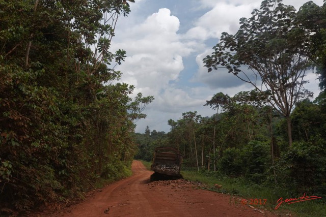 121 LOANGO 3 Trajet Retour Piste des Abeilles Accident de Camion 16E5K3IMG_123034_DxOawtmk.jpg