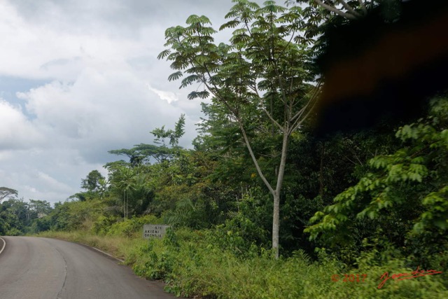 007 LOANGO 3 Franceville-Lambarene Route vers Okondja 16E5K3IMG121066_DxOawtmk.jpg