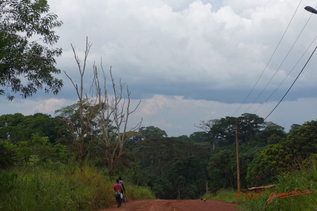 013 LOANGO 3 Franceville-Lambarene Piste vers Makokou 16E5K3IMG121083_DxOawtmk.jpg