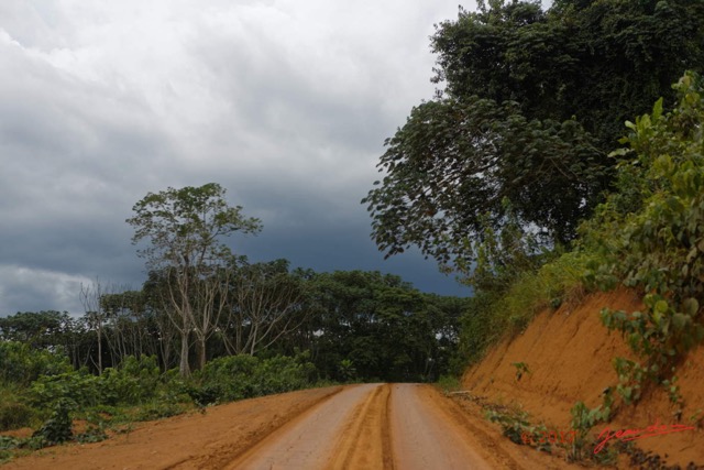 018 LOANGO 3 Franceville-Lambarene Piste vers Makokou 16E5K3IMG121095_DxOawtmk.jpg