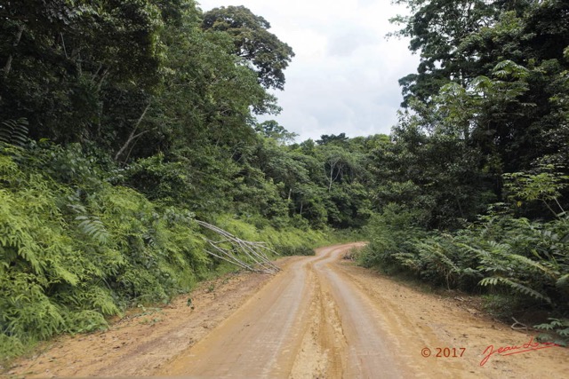 021 LOANGO 3 Franceville-Lambarene Piste vers Makokou 16E5K3IMG121100_DxOwtmk.jpg
