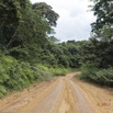 021 LOANGO 3 Franceville-Lambarene Piste vers Makokou 16E5K3IMG121100_DxOwtmk.jpg