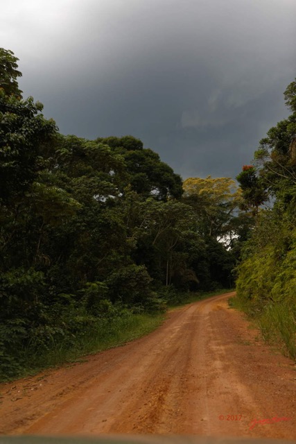 022 LOANGO 3 Franceville-Lambarene Piste vers Makokou Arbre et Orage 16E5K3IMG121102_DxOawtmk.jpg