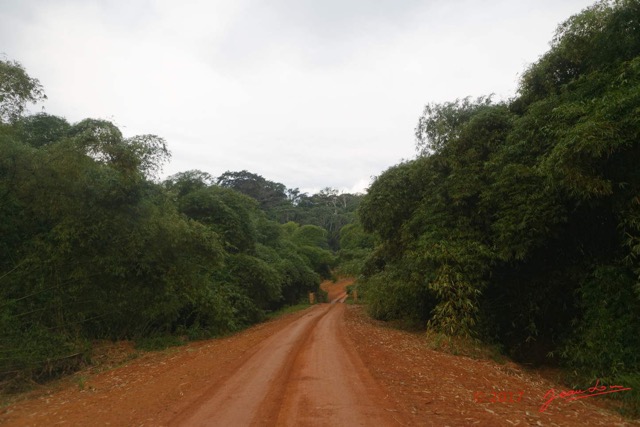 025 LOANGO 3 Franceville-Lambarene Piste vers Makokou Pont Metallique 16E5K3IMG121115_DxOwtmk.jpg