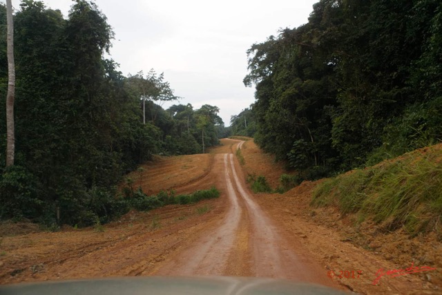 027 LOANGO 3 Franceville-Lambarene Piste vers Makokou 16E5K3IMG121118_DxOwtmk.jpg