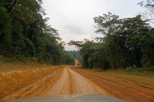 030 LOANGO 3 Franceville-Lambarene Piste vers Makokou 16E5K3IMG121126_DxOawtmk.jpg