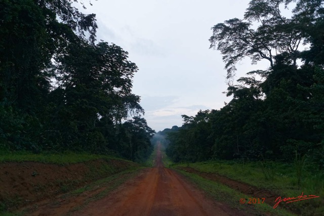 033 LOANGO 3 Franceville-Lambarene Piste vers Makokou le Soir 16E5K3IMG121139_DxOawtmk.jpg