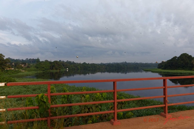 049 LOANGO 3 Franceville-Lambarene Makokou Pont et Ogooue-Ivindo 16E5K3121162_DxOwtmk.jpg