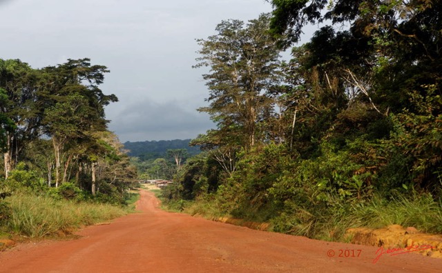 053 LOANGO 3 Franceville-Lambarene Piste vers Ovan 16E5K3121175_DxOawtmk.jpg