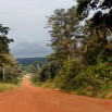 053 LOANGO 3 Franceville-Lambarene Piste vers Ovan 16E5K3121175_DxOawtmk.jpg