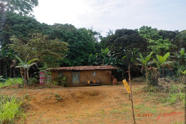 064 LOANGO 3 Franceville-Lambarene Piste vers Ovan Village et Case 16E5K3IMG_121192_DxOwtmk.jpg