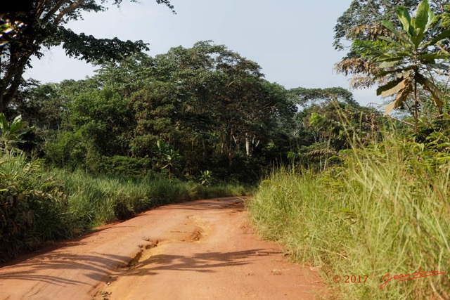 068 LOANGO 3 Franceville-Lambarene Piste vers Ovan 16E5K3IMG_121198_DxOawtmk.jpg