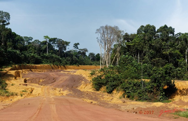 075 LOANGO 3 Franceville-Lambarene Piste vers Ovan Terrassement 16E5K3IMG_121217_DxOawtmk.jpg