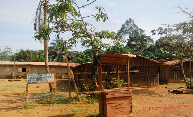 078 LOANGO 3 Franceville-Lambarene Piste vers Ovan Village 16E5K3IMG_121224_DxOwtmk.jpg