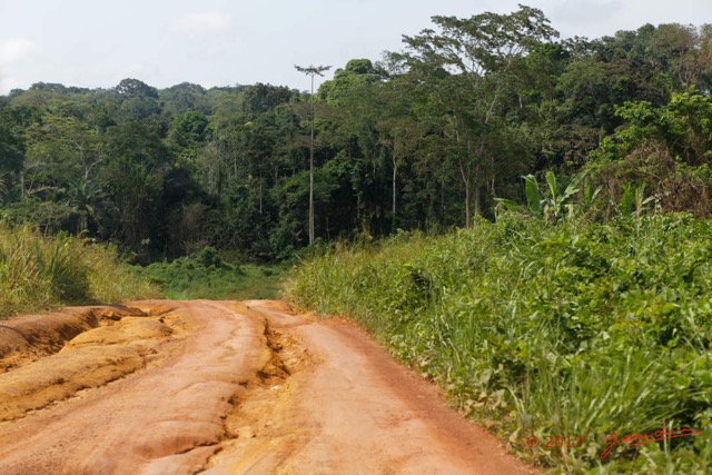085 LOANGO 3 Franceville-Lambarene Piste vers Ovan Ravines 16E5K3IMG_121235_DxOawtmk.jpg