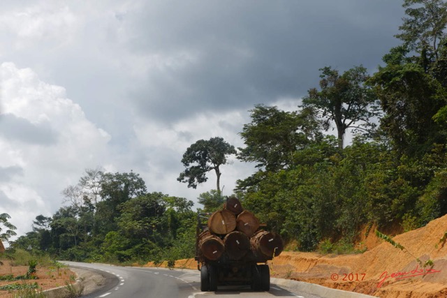 102 LOANGO 3 Franceville-Lambarene Route vers Lalara Grumier 16E5K3IMG_121276_DxOawtmk.jpg