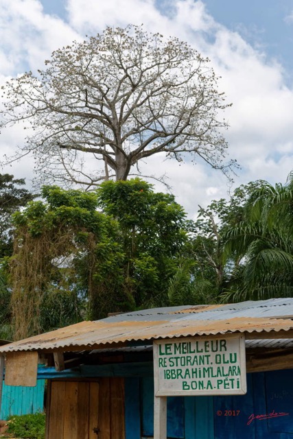 106 LOANGO 3 Franceville-Lambarene Lalara Arbre et Restaurant 16E5K3IMG_121285_DxOawtmk.jpg