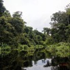 036 LOANGO 3 la Riviere MPIVIE Berge et Vegetation 16E5K3IMG_121792_DxOwtmk.jpg